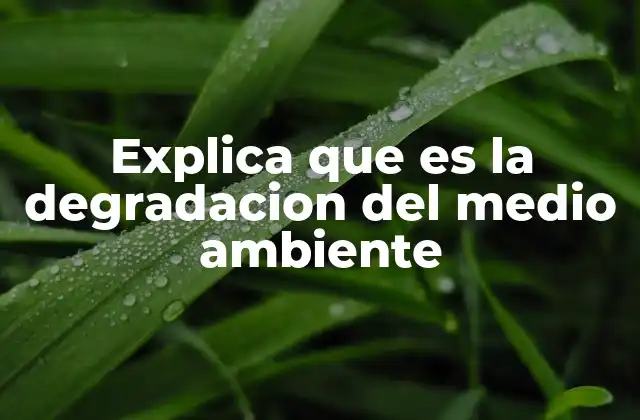 Explica que es la Degradacion Del Medio Ambiente 2 El impacto invisible que transforma los ecosistemas