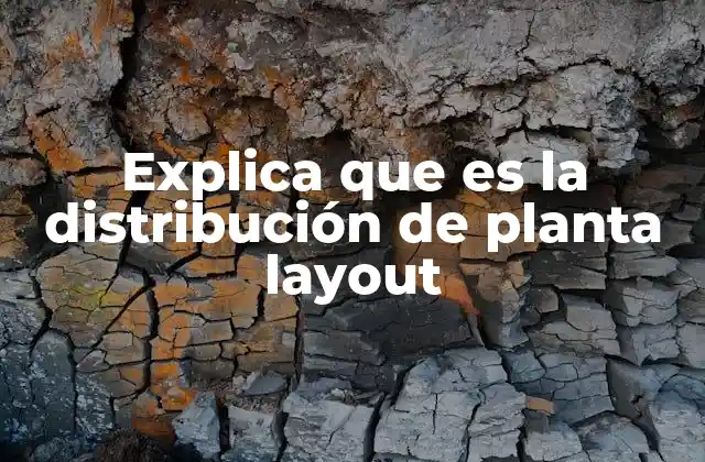 Explica que es la Distribución de Planta Layout
