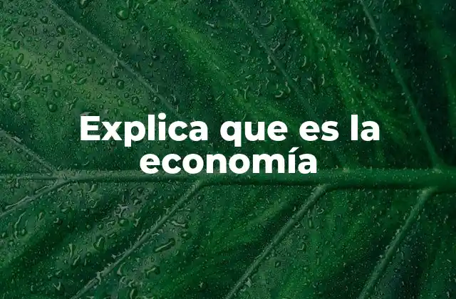 El funcionamiento de los sistemas económicos