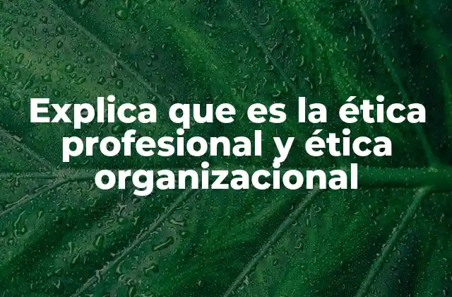 Explica que es la Ética Profesional y Ética Organizacional