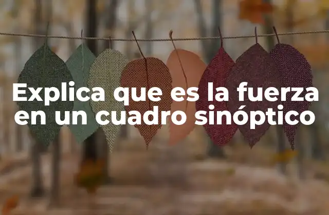 Explica que es la Fuerza en un Cuadro Sinóptico
