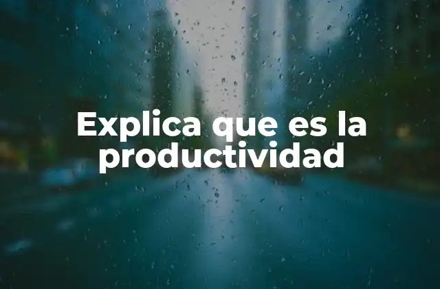 Explica que es la Productividad