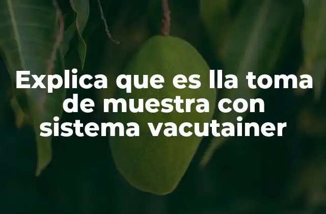 Explica que es Lla Toma de Muestra con Sistema Vacutainer