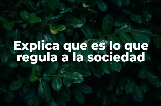 Explica que es Lo que Regula a la Sociedad