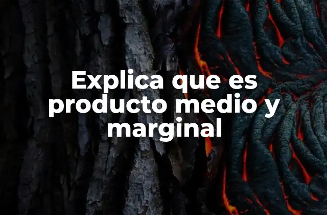 Explica que es Producto Medio y Marginal