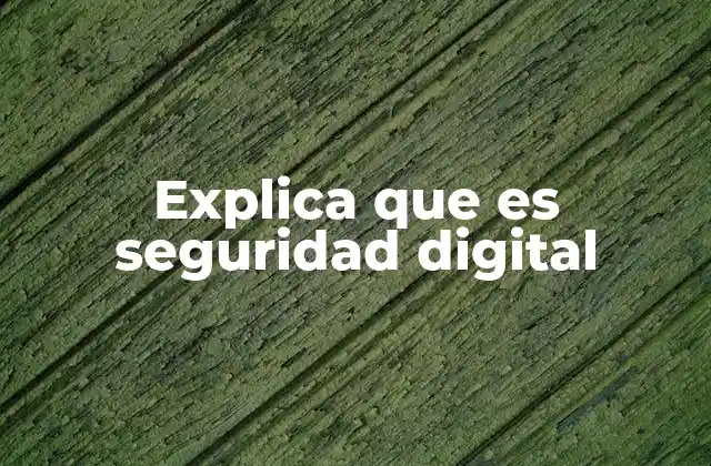 Explica que es Seguridad Digital