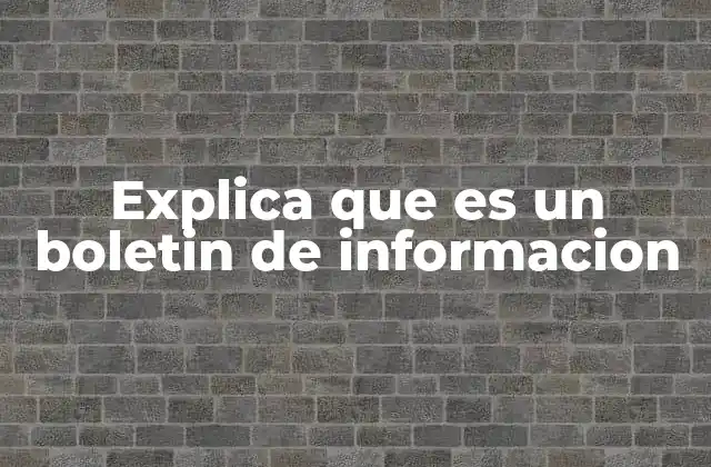 Explica que es un Boletin de Informacion
