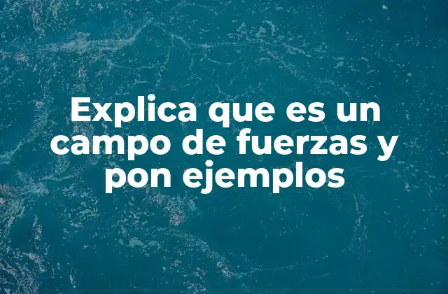 La importancia de los campos de fuerzas en la física moderna