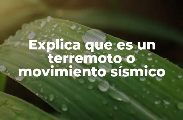 Explica que es un Terremoto o Movimiento Sísmico