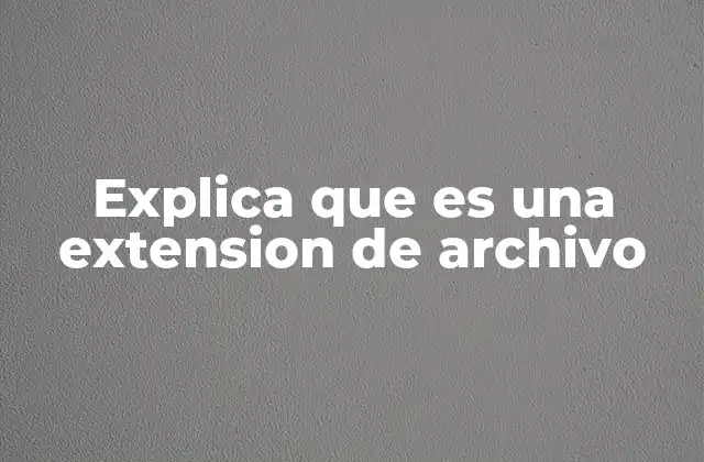 Explica que es una Extension de Archivo 2 La importancia de las extensiones en la organización digital