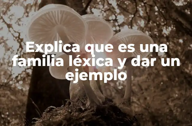 Explica que es una Familia Léxica y Dar un Ejemplo