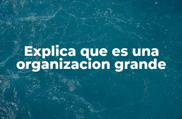 Explica que es una Organizacion Grande