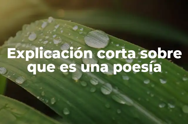 Explicación Corta sobre que es una Poesía