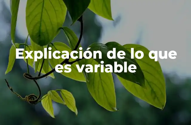 Explicación de Lo que es Variable