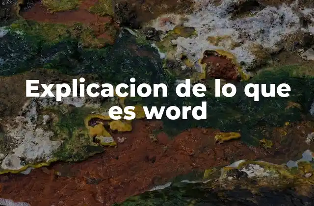 Explicacion de Lo que es Word