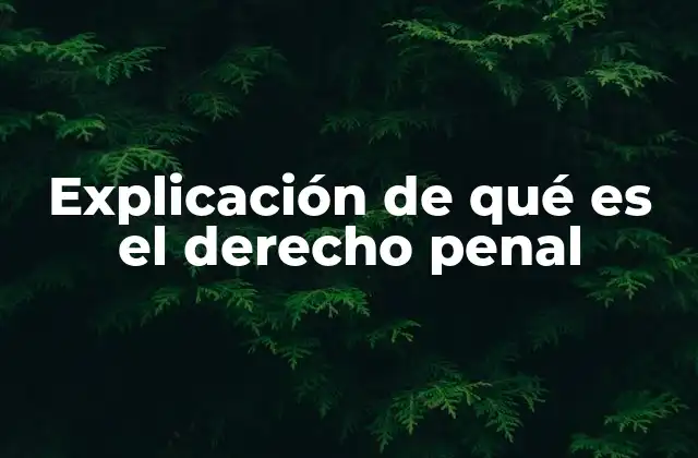 El rol del derecho penal en la justicia social