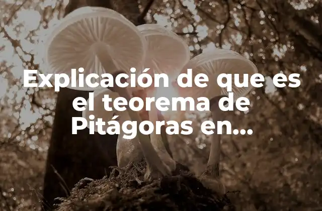 Explicación de que es el Teorema de Pitágoras en Matemáticas
