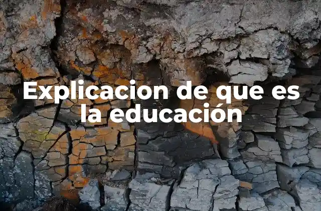 Explicacion de que es la Educación
