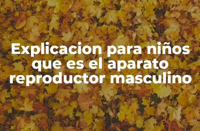 Explicacion para Niños que es el Aparato Reproductor Masculino