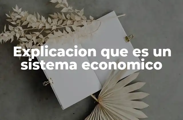 Explicacion que es un Sistema Economico