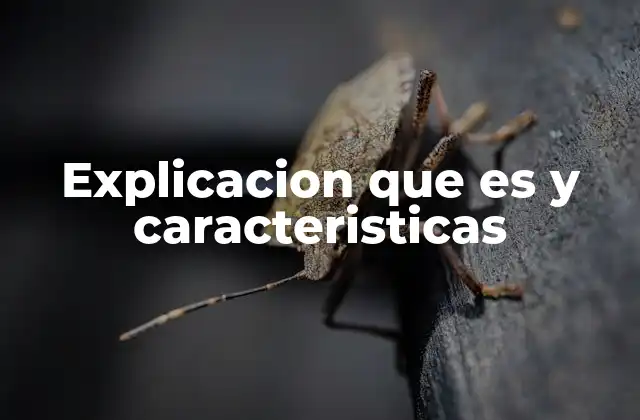 Explicacion que es y Caracteristicas