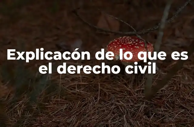 Explicacón de Lo que es el Derecho Civil