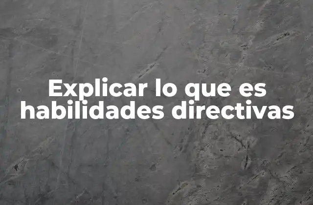 Explicar Lo que es Habilidades Directivas