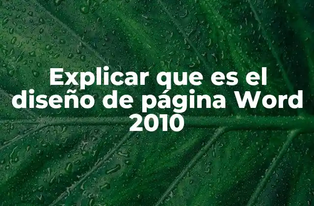 Explicar que es el Diseño de Página Word 2010