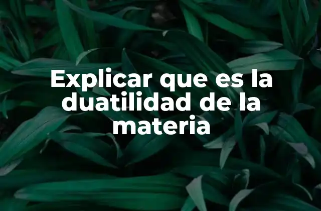 Explicar que es la Duatilidad de la Materia