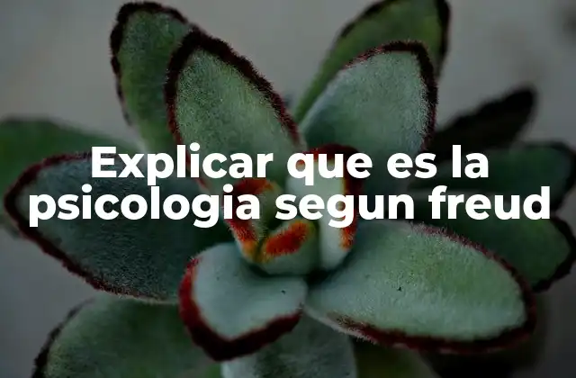 Explicar que es la Psicologia Segun Freud