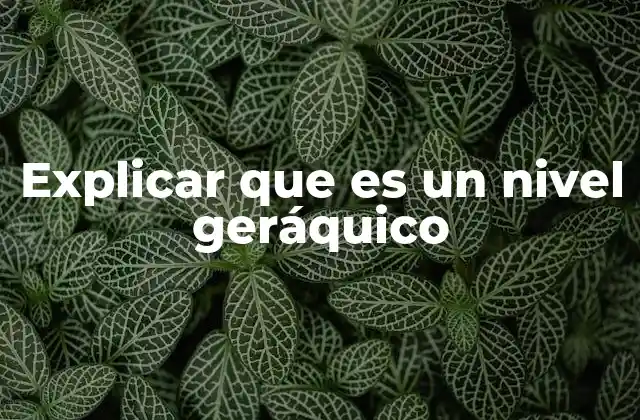 Explicar que es un Nivel Geráquico