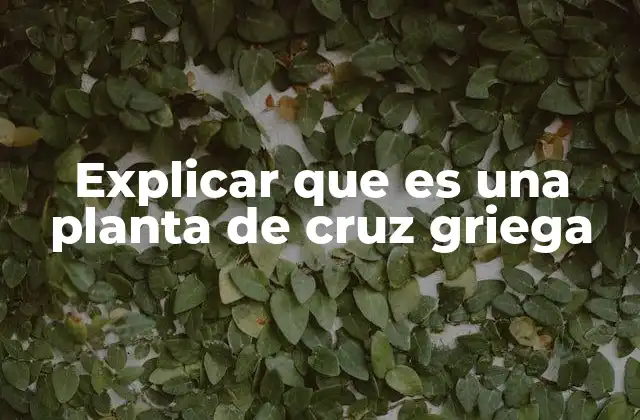Características distintivas de la planta de cruz griega