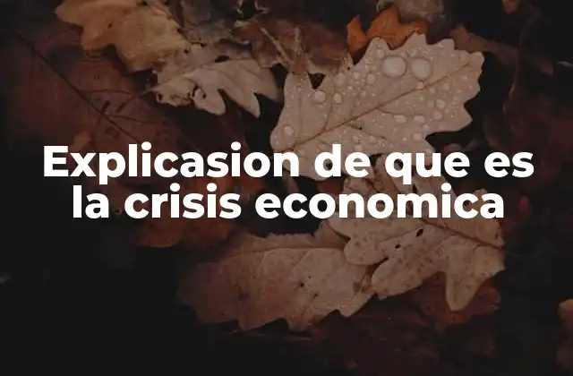 Explicasion de que es la Crisis Economica