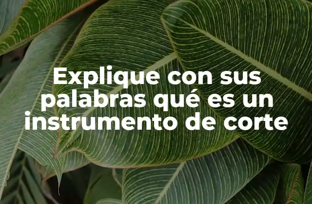 Explique con Sus Palabras Qué es un Instrumento de Corte