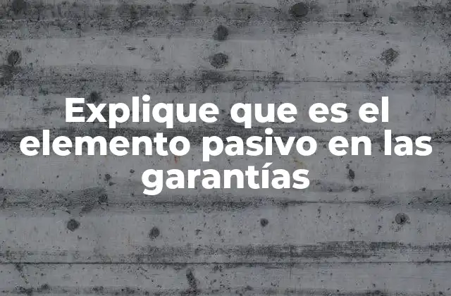 Explique que es el Elemento Pasivo en las Garantías