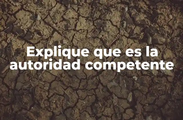 Explique que es la Autoridad Competente