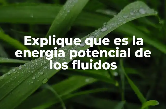 Explique que es la Energia Potencial de los Fluidos