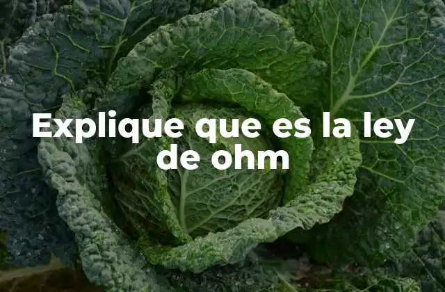 Explique que es la Ley de Ohm