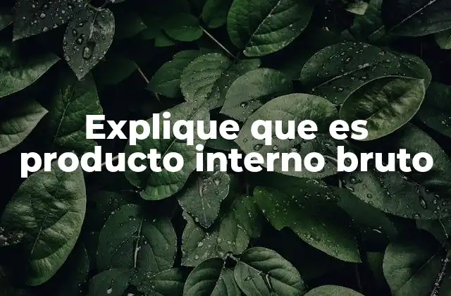 Explique que es Producto Interno Bruto
