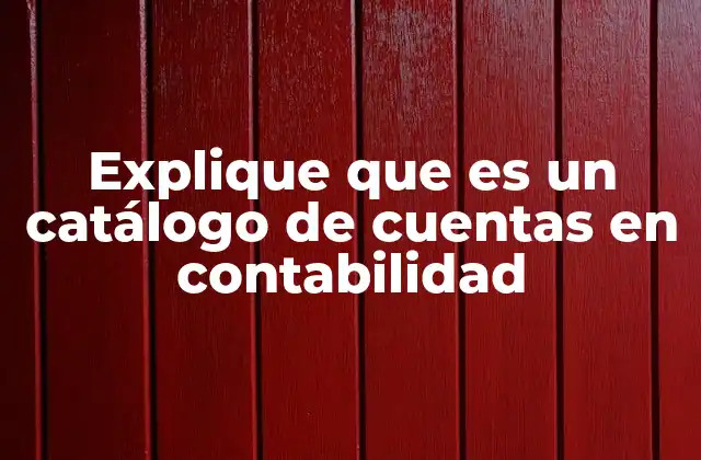 Explique que es un Catálogo de Cuentas en Contabilidad