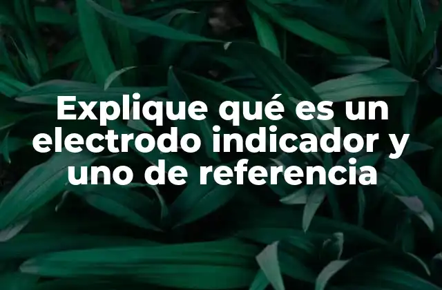 La importancia de los electrodos en la electroquímica analítica