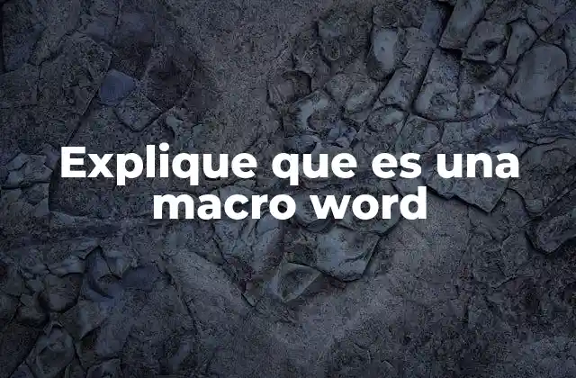 Explique que es una Macro Word