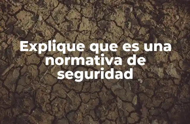 Explique que es una Normativa de Seguridad