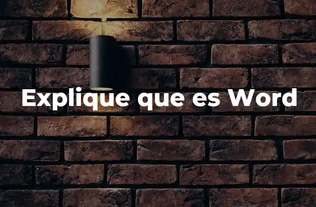 Explique que es Word