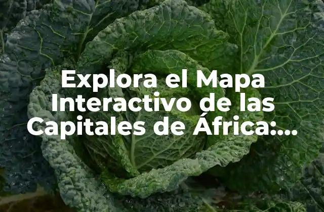 ¿Qué es un Mapa Interactivo de las Capitales de África?