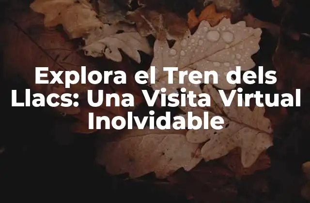 Explora el Tren Dels Llacs: una Visita Virtual Inolvidable