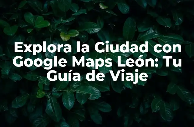 Explora la Ciudad con Google Maps León: Tu Guía de Viaje
