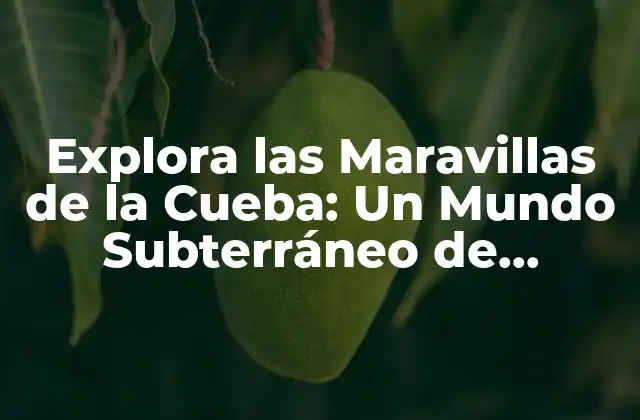 Explora las Maravillas de la Cueba: un Mundo Subterráneo de Misterio y Aventura