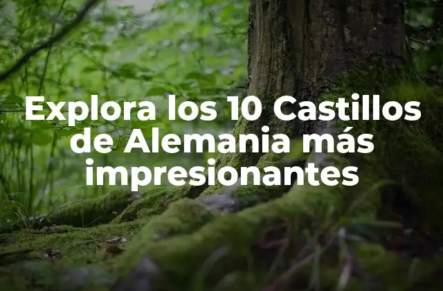 ¿Cuál es la historia detrás de los castillos de Alemania?
