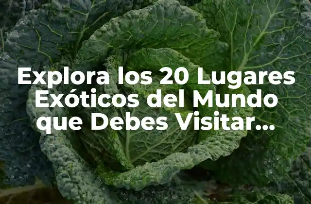 Explora los 20 Lugares Exóticos Del Mundo que Debes Visitar Antes de Morir